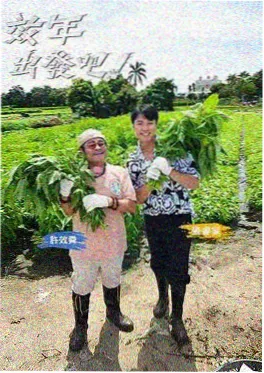王牌对王牌